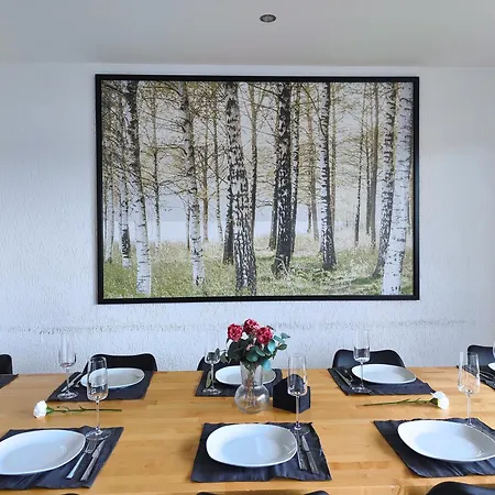 Grosszuegiges Ferienhaus Mit Klimaanlage In Ruhiger Lage 別荘 ヴュルツブルク